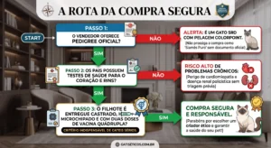 Passo a passo prático para não cair em golpes de gatis clandestinos ao buscar pelo preço do siamês.