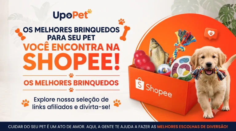 Brincadeiras também é coisa de pet.
